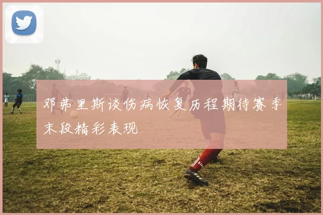 邓弗里斯谈伤病恢复历程期待赛季末段精彩表现