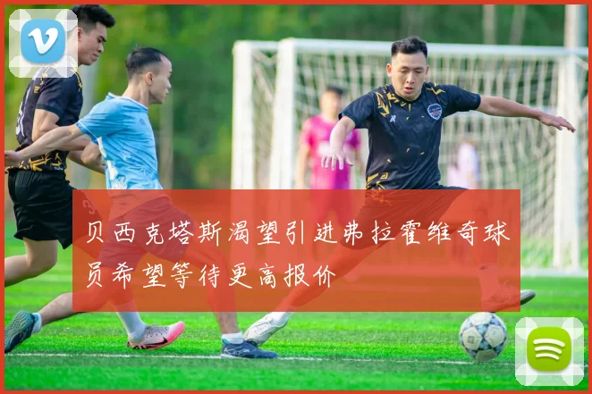 贝西克塔斯渴望引进弗拉霍维奇球员希望等待更高报价