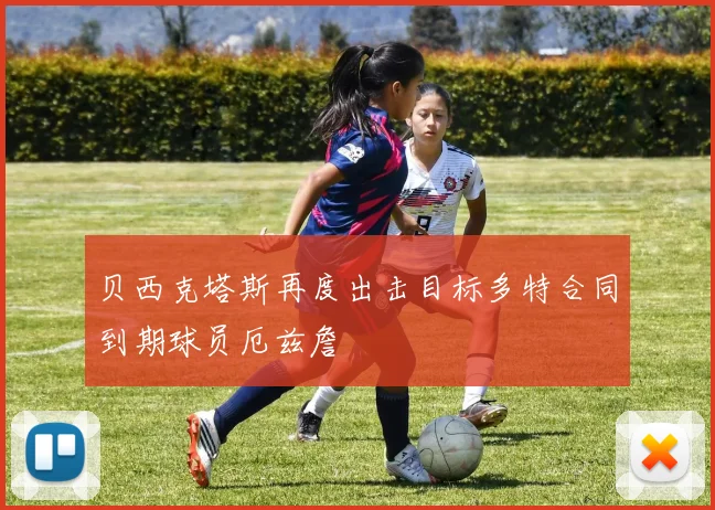 贝西克塔斯再度出击目标多特合同到期球员厄兹詹